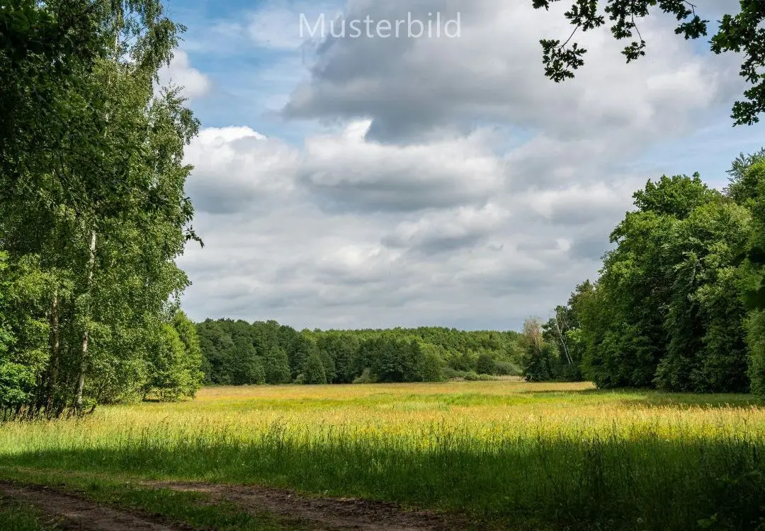 Design ohne Titel (1)